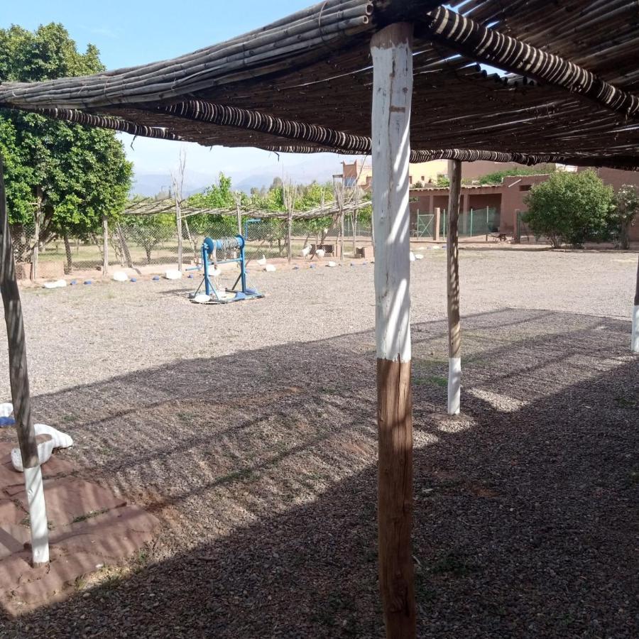 Villa Ferme Berbere Marrakesh Bagian luar foto